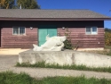 concretesalmon