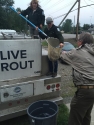 receiving trout